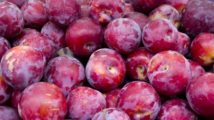 bea 0312 ciruelas.jpg